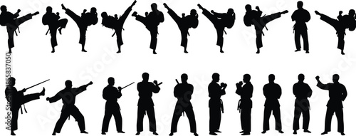 Karate and martial arts silhouettes set, vector illustration of people practicing combat sports and self-defense poses, ideal for dojo, fighting, fitness, and 