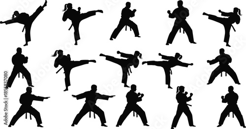 Karate silhouette vector set, martial arts fighters performing various high kicks and attack poses, dynamic male and female athlete icons, isolated self-defense training
