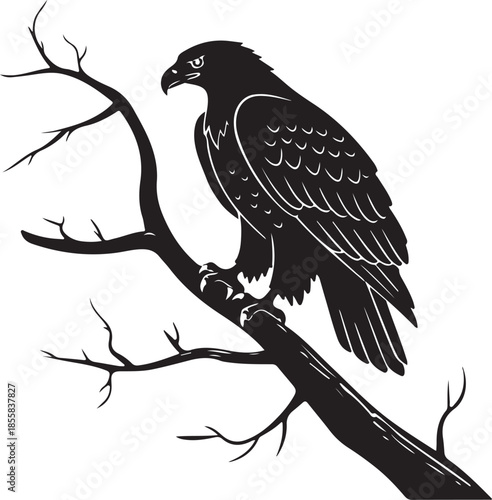 Majestic Eagle Bird of Prey Sitting on Branch Silhouette Vector Illustration