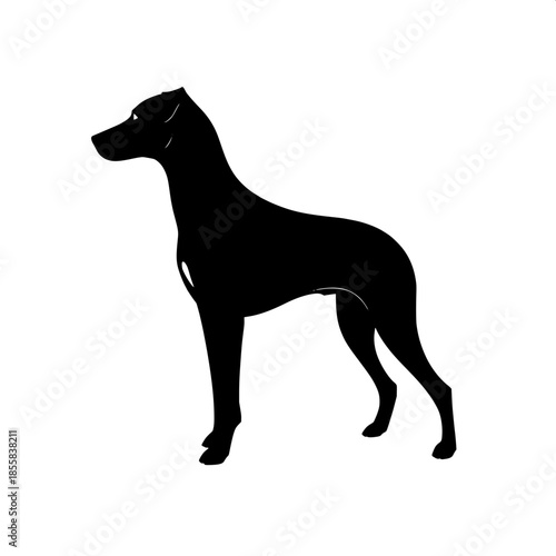 A sleek and refined dog silhouette in black, depicted in a precise profile view facing right, with a smooth continuous shape that conveys a sense of elegance, subtle definition of the neck and chest, 
