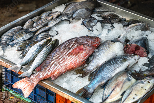 Kochi, India - 09.18.2025: Fort Kochi during day