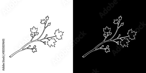 A simple black and white illustration of a delicate branch with leaves and buds, presented against contrasting backgrounds