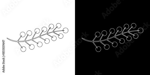 Elegant sprig of berries illustration, a minimalist and refined botanical element suitable for various design applications