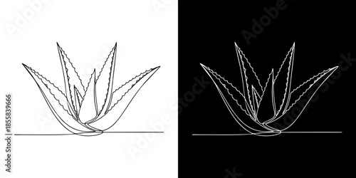 Stylish one-line drawing of a vibrant aloe vera plant, rendered in a modern continuous line art style, ideal for organic skincare, herbal remedies, and plant-based themes