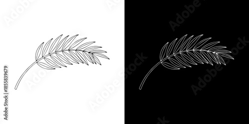 A close-up, minimalist line drawing of a fern frond, presented in both a black and white version against contrasting backgrounds