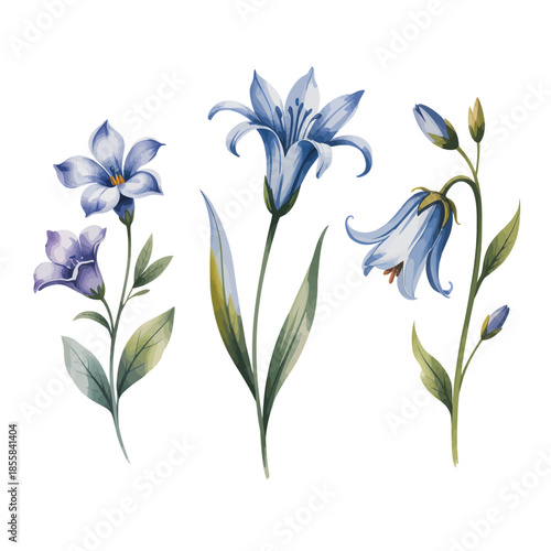 Watercolor illustration of delicate bluebell and lily flowers on white background