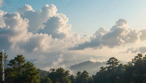 Serene Landscape with Lush Forest and Dramatic Cloudy Sky
