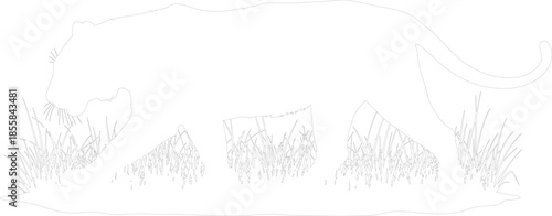Panther or Puma Outline Vector Walking Through Grass Minimalist Wildlife Line Art Illustration