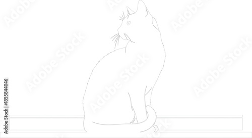 Simple Vector Line Art of a Sitting Cat Feline Looking Back on a Ledge Outline Drawing