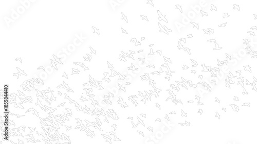 Scattered flock of flying birds vector outline illustration isolated on white background