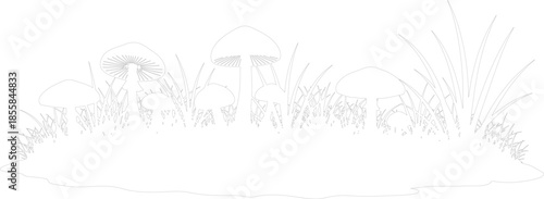 Fairy Mushrooms Growing in Grass Outline Drawing Vector Forest Floor Border