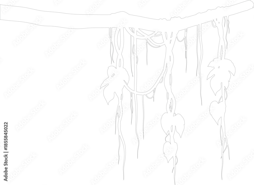 Fototapeta premium Outline Vector Drawing of Jungle Vines and Leaves Hanging from Tree Branch
