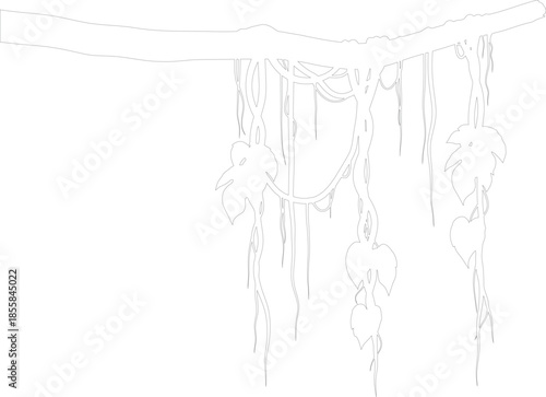 Outline Vector Drawing of Jungle Vines and Leaves Hanging from Tree Branch