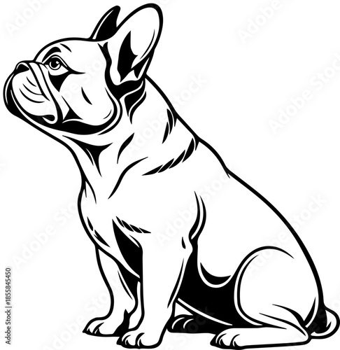 French Bulldog Illustration – Black and White Pet Art