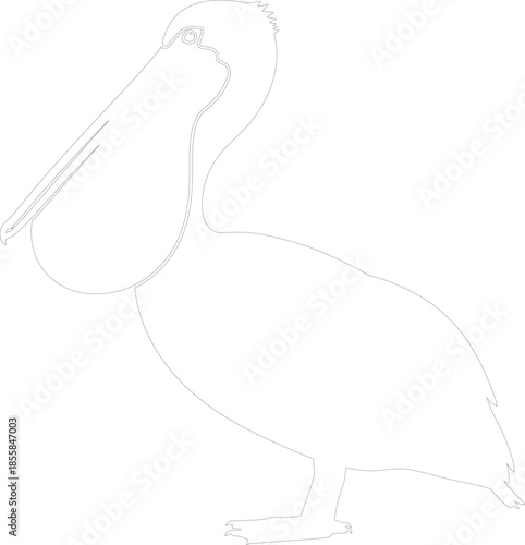 Simple line art outline illustration of a standing pelican bird vector graphic