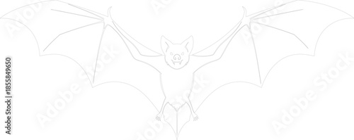 Simple Flying Bat Outline Vector Illustration Line Art for Coloring Halloween Design