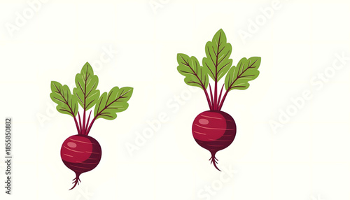 for kids clothes, decoration and wallpaper,   bunch of fresh radish