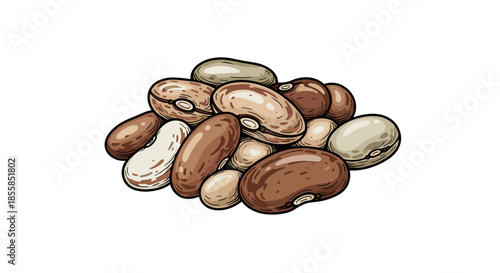 beans vector illustration in minimalist flat style on white background. Used for food products, agriculture and nutrition topics