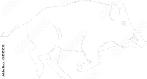 Charging Wild Boar Outline Vector Art Minimalist Running Hog Line Drawing Graphic Resource