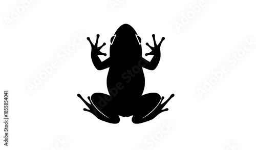 Top view frog silhouette vector illustration isolated on white background