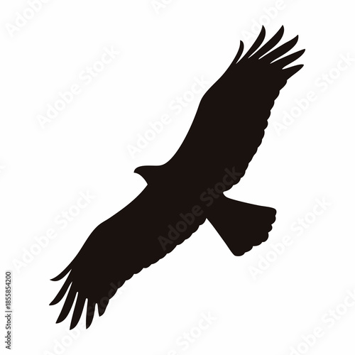 A majestic eagle soars in silhouette, embodying freedom and wild grandeur