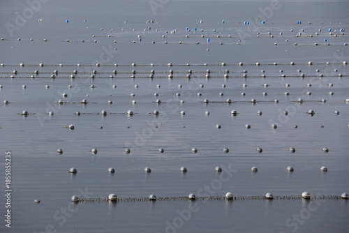 Parc ostréicole dans la péninsule de Beara dans le comté de Cork en Irlande