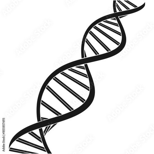 dna strand on white background
