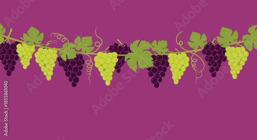 Horizontal decorative border illustration featuring ripe green and purple grape clusters on a leafy vine, set against a rich magenta background.