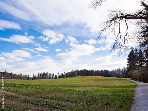 Pfannenstil, Switzerland - March 9th 2025: Idyllic landscape with fields, forests and hills.
