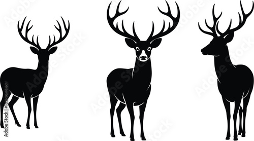 Three Black Silhouette Deer With Antlers On White Background stag buck