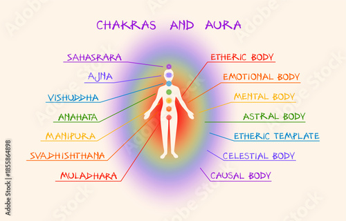 Human Chakra and Aura Layers Infographic