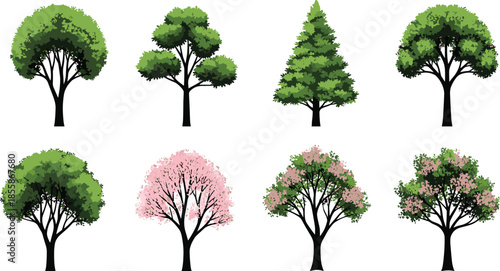Set of Vector Green Deciduous and Coniferous Trees, Flowering Plants, and Shrubs for Landscape Architecture and Outdoor Design Elements.