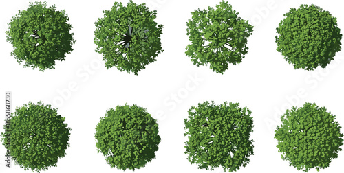 Set of Eight Top View Vector Trees for Architectural Floor Plans, Site Layouts, Landscape Design, and Urban Planning Illustrations.