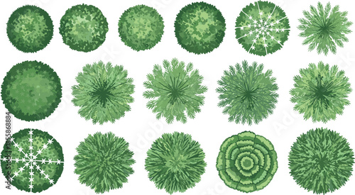 Comprehensive Set of Trees, Bushes, Leaves, and Plan View Foliage for All Landscaping and Architectural Projects.