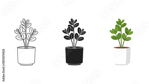 Three potted plants with different color schemes Vector