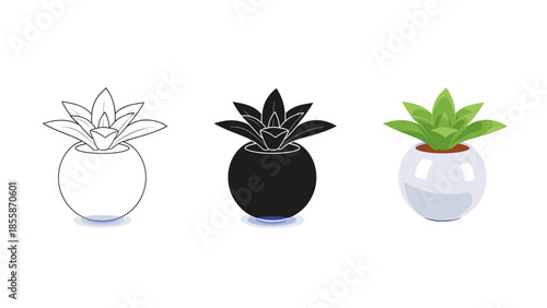 Succulent plant in pot illustration set Vector