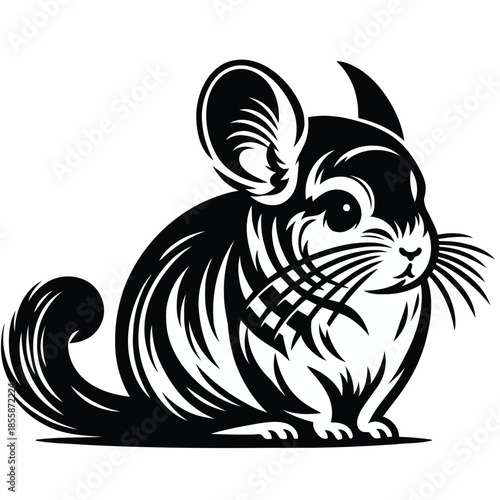 Black and white illustration of a chinchilla on a white background vector