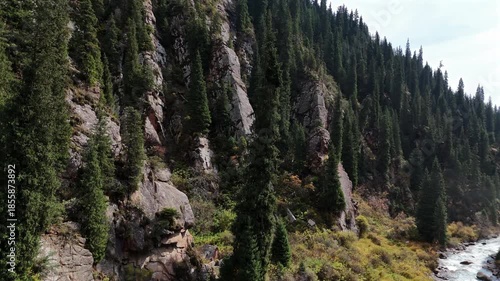 Mountain Forest with Rocks and Flowing Stream