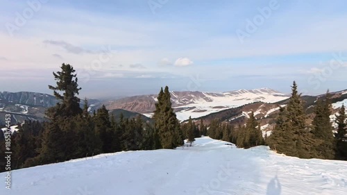 Slope with Pine Trees and Beautiful View Karakol Ski Base Kyrgyzstan