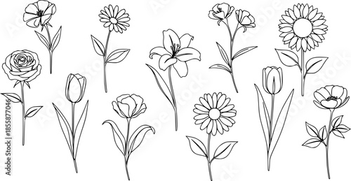 Set of different flower linens on a white background.