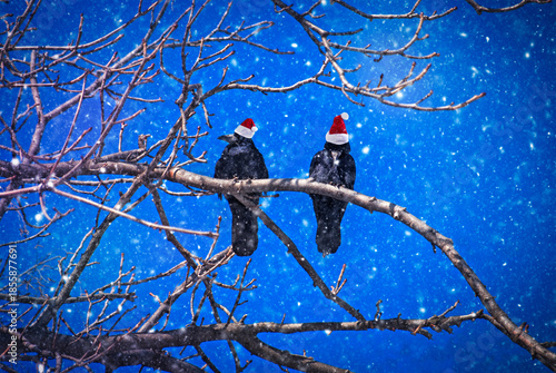 Pair rooks in classic Santa hats over winter background