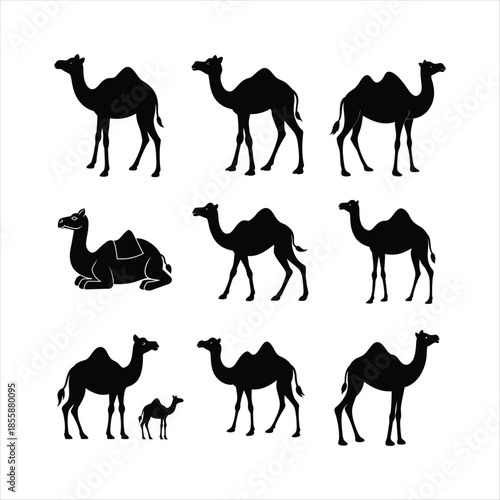 Camel Silhouettes: A collection of sleek camel silhouettes in various poses, from standing to resting, creating a captivating display of the iconic desert creature.