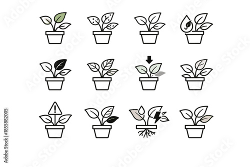Plant leaves signs early vector color health icon icons chlorosis warning weak