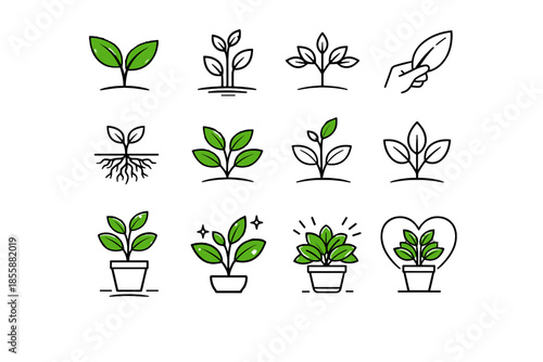 Indoor overall leaf plant root green icon vector healthy growth vitality steady
