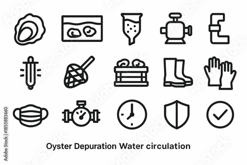 Oyster depuration and water circulation icons