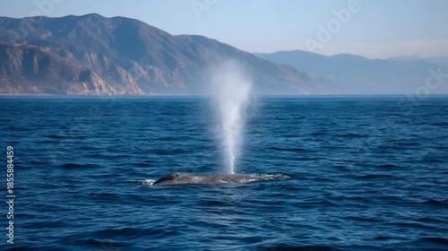 A large whale spouts water from its blowhole in the ocean with distant mountains under a clear sky