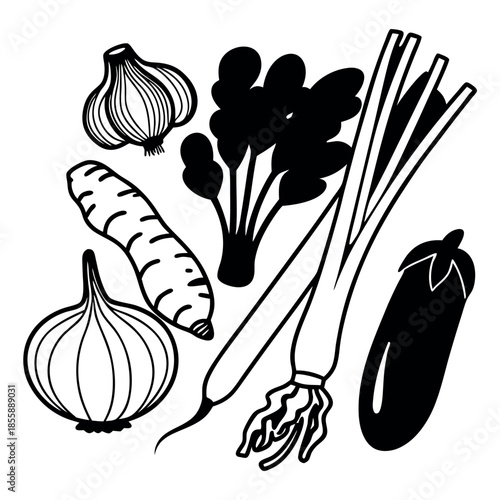 Cooking ingredients and spices collection, garlic, onion, ginger and herbs, black and white vegetable vector