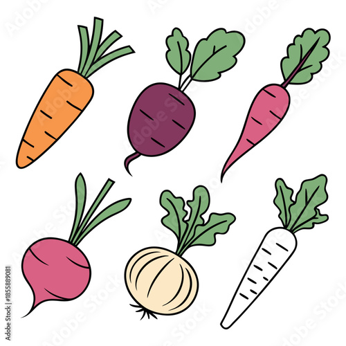 Root vegetables collection with carrot, beet and radish, colorful hand drawn healthy food vector illustration