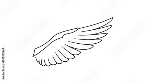 Detailed illustration of a single white wing with feathers, outlined in black, against a plain