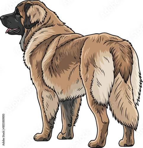 Leonberger dog standing rear view looking away pose